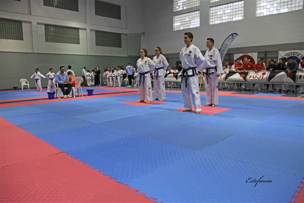 Copa Seul 2018 (361).jpg